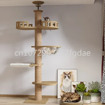 Tree Floor To Ceiling Cat Tower reguliuojamas kelių aukštų butas kačiukams, su grindų kilimėliais, hamakais, naminių kačių veiklos centru