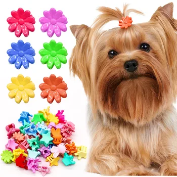 50PCS Šunų plaukų priedai Plaukų segtukai mažiems šunims Spalvingas mielas karūnos plaukų segtukas šunų mergaitėms Naminių gyvūnėlių plaukų priežiūros šunų reikmenys